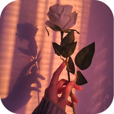 Aesthetic Wallpaper for Girls