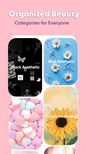 Organized Beauty category selection showing Black, Blue, Pink, and Glow Aesthetic wallpaper themes with previews