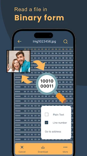 Binary file viewer displaying hex code and binary data with image preview, copy and download options