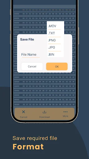 Save dialog for BIN file format selection with options to choose MOV, PNG, JPG, or BIN export formats