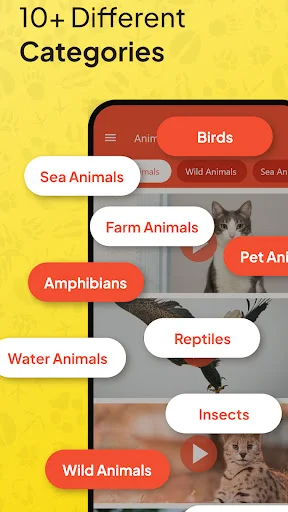 Animal Ringtone app showing 10+ categories including Birds, Sea Animals, Farm Animals, Reptiles, and Insects