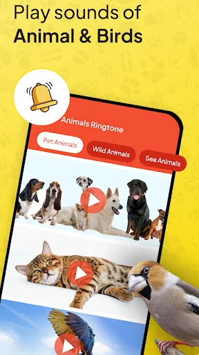 Animal & Birds sound player interface with play buttons for Pet Animals, Wild Animals, and Sea Animals ringtones