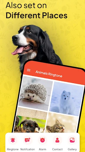 Animal Ringtone settings showing options to set sounds as Ringtone, Notification, Alarm, Contact, or Gallery