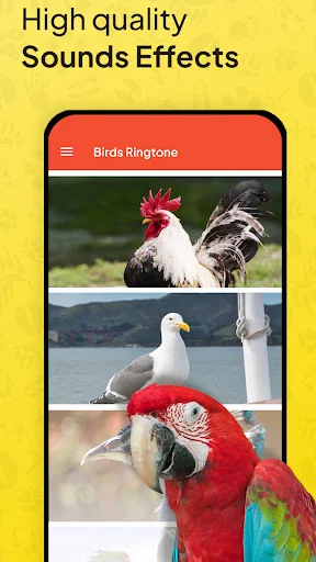 High quality bird sounds effects screen featuring rooster, seagull, and macaw parrot ringtones