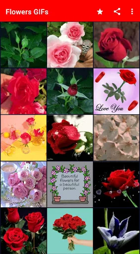 Gallery grid of colorful romantic flower and rose animated GIFs with text overlays for personalized romantic messages