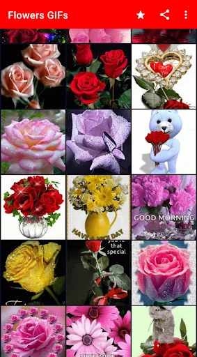 Grid collection of varied flower GIF images featuring red roses, pink blooms, sunflowers, and purple flowers with text