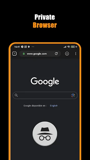 Private browser mode with incognito icon in Hub Video Downloader app showing Google homepage