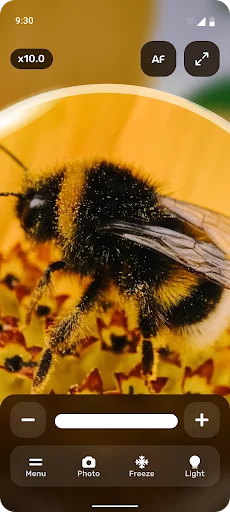 Macro magnification of bee on yellow flower at 10.0x zoom demonstrating detailed close-up photography capability