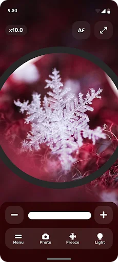 Frost crystal macro magnification at 10.0x zoom with red background showing detailed zoom and lighting adjustments