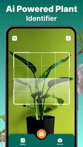Plant identifier camera screen with grid overlay, photo framing guides, Gallery button, and AI scan identification button