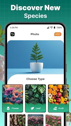 Plant type selection screen with Flower, Leaf, and Fruit categories to specify plant type for AI identification
