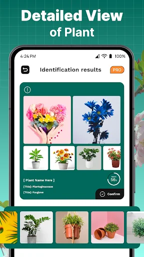 Plant identification results showing multiple plant matches, scientific names, botanical families, and detailed information