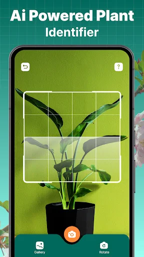 Plant identifier camera screen with grid overlay, photo framing guides, Gallery button, and AI scan identification button