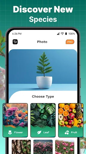 Plant type selection screen with Flower, Leaf, and Fruit categories to specify plant type for AI identification