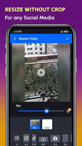 Resize Video interface with preview, blur adjustment slider, and blur or crop buttons for social media video resizing