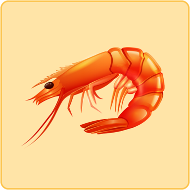 Shrimp Recipes: Cookbook App