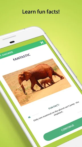 Trivia quiz answer screen showing fun fact explanation with animal image and continue button for next question