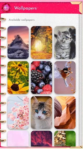 Wallpapers selection showing multiple background options for personalization with nature, pet, flower and abstract designs