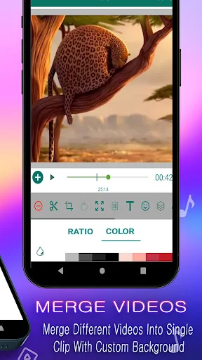 Merge videos interface with video preview, playback timeline, and color ratio editing controls