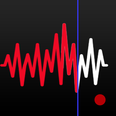 Voice Recorder