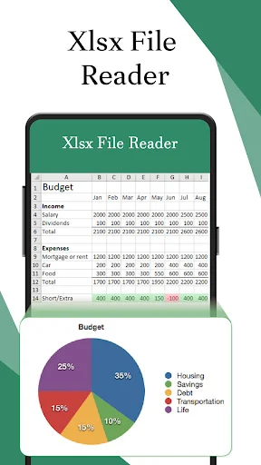 Excel file reader showing budget spreadsheet table and pie chart visualization for financial data analysis